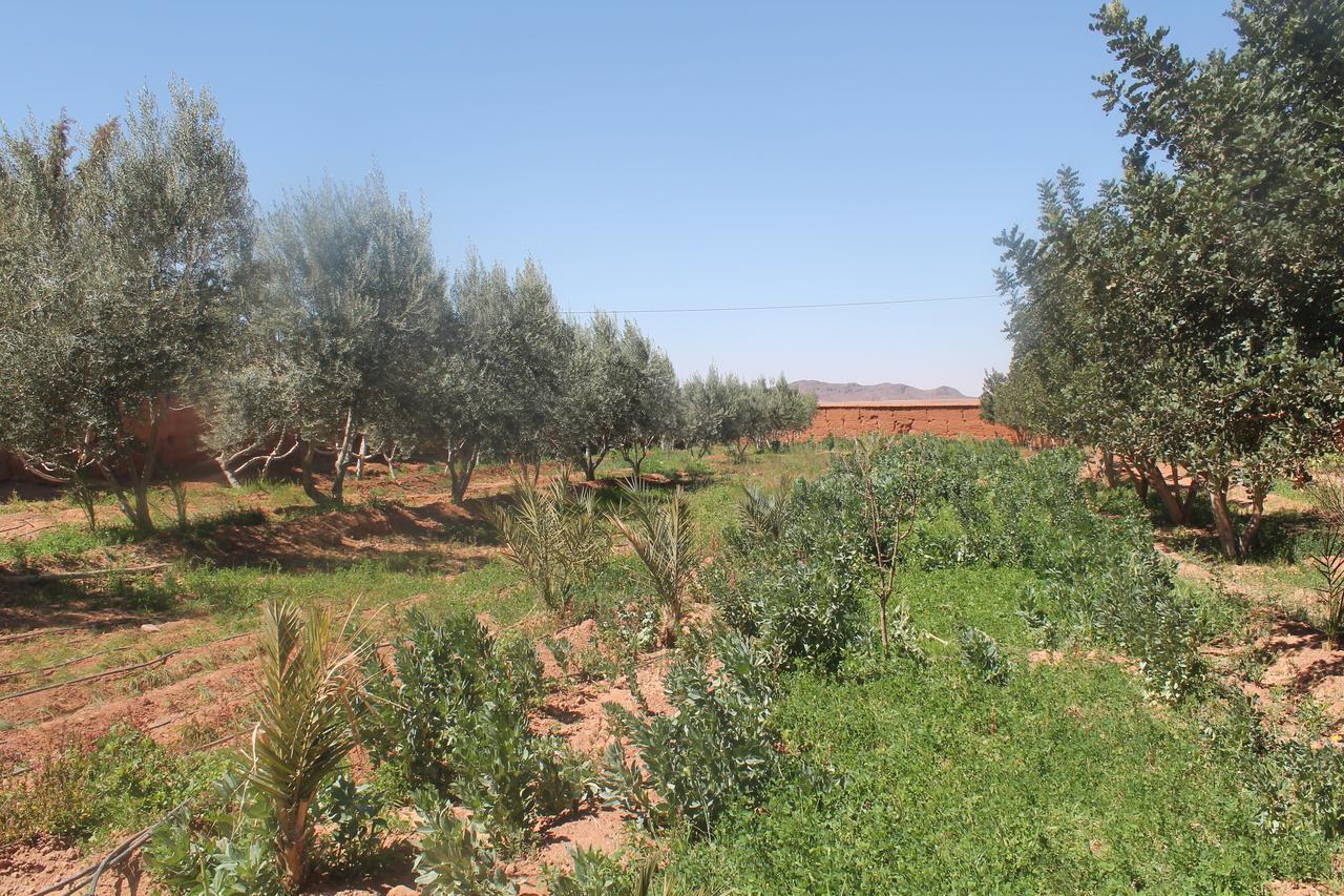 Dar Alfourssane Ferme d’hôte Uarzazate Exterior foto